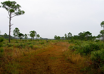 [A wide beaten-down section of grass heads down the middle of the image. About mid-distance in the photo is a brown post with a white rectangle. Another white rectangle is visible above the grass to the left of the middle post.]